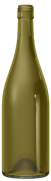 Empty wine bottle BG AUSTRAL 75 CL BVS