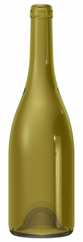 Empty wine bottle BG REGAIN 75 CL