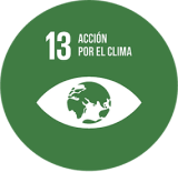 5311_es-ods-09-2-1-Real
